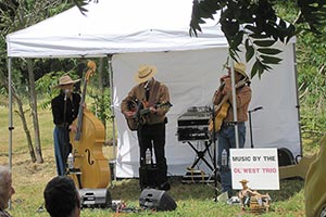 7th Annual Clarksville Day, 2017