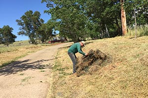 Clarksville Day Cleanup 2017